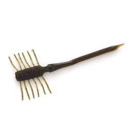 IMAKATSU Riggler 5.5" (ECO Compatible) (#S-14 Green Pumpkin Pepper)