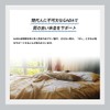 GABA Glycine Theanine Formulated Wellnite, 1 Capsule Per Day, 30
