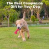 Petper Cw-0095EU Squeaky Latex Dog Toy, Interactive Toy Bone for