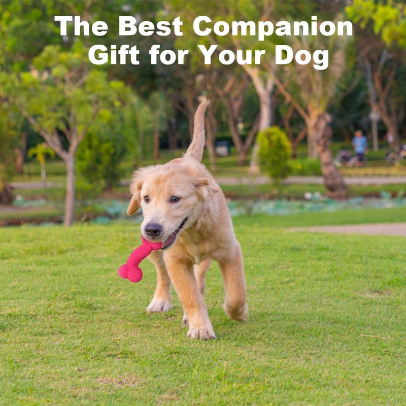 Petper Cw-0095EU Squeaky Latex Dog Toy, Interactive Toy Bone for