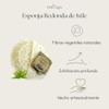Esponja de Ixtle Exfoliante Natural PERLA NEGRA