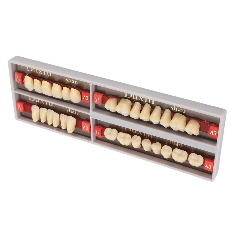 Dental Synthetic Resin Denture Tooth Professional Men Women Shade A3