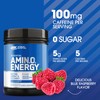 Optimum Nutrition Amino Energy - Pre Workout with Green Tea,