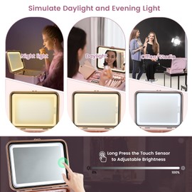 Travel Makeup Train Cases with Lighted Mirror 3 Color Setting, Hardshell Makeup Cosmetic Case Organizer Adjustable Brightness Portable Makeup Storage Box For Makeup Accessories (Double Layer Pink)