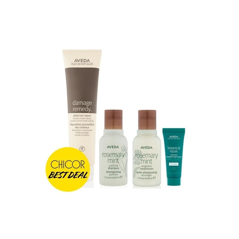 Aveda SET Damage Remedy Plan (+3 GWP) / SET 데미지레미디