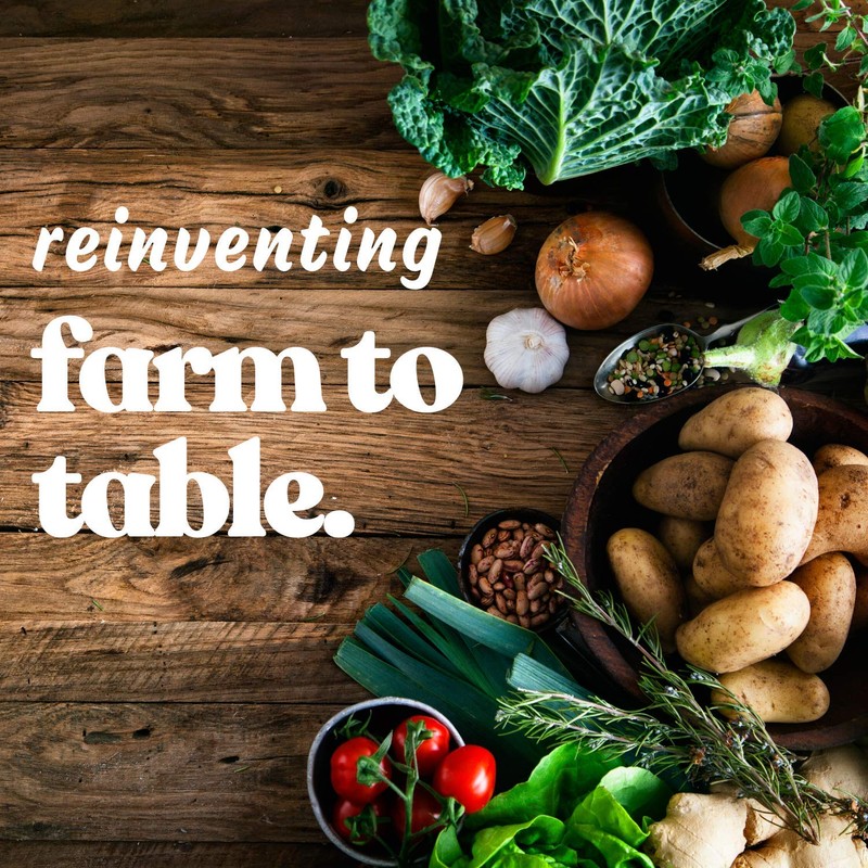 Pinto Bean Seeds - 30 g Packet ~75 Seeds -