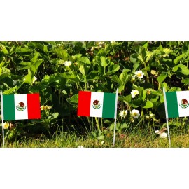 G128 24 Pack Handheld Mexico Mexican Stick Flags 4x6 In Printed 150D Polyester