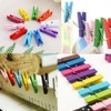 Clothes Pegs Small Colourful Wooden Pegs Mini - 3.5 cm