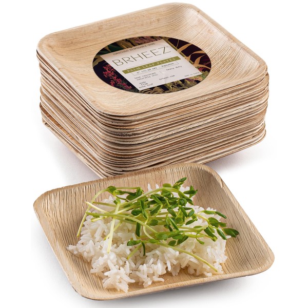 brheez Bamboo Plates made from Palm Leaf 25 Disposable Party Plate 6 Inch Compostable Biodegradabl Heavy Duty More Environmentally Friendly than Paper Plates