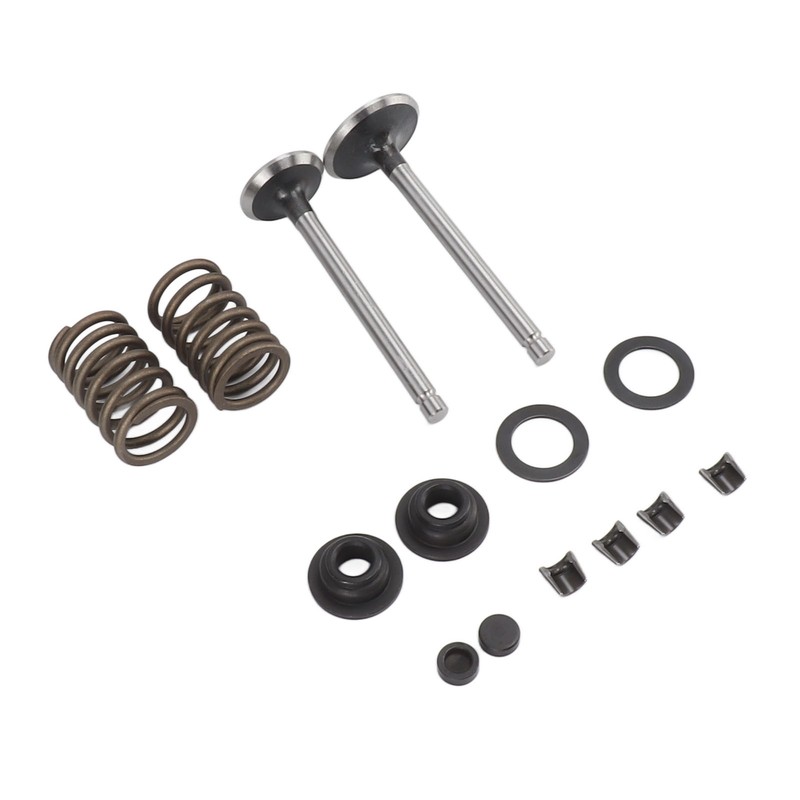 Microtiller Valve Parts Iron Wear Resistant Anti Corrosion Spring Washer