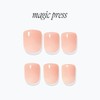Dessing Diva x It Daily Short Nail 4 Types /