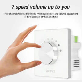 Smart Home Volume Control, Speaker Volume Control, External Volume Control for Volume Control, Tuning Switch, Background Music Switch