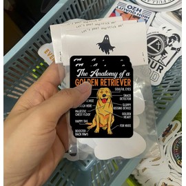 (Pack of 3) Anatomy of A Golden Retriever Dog Lover Waterproof Sticker 5 Inches
