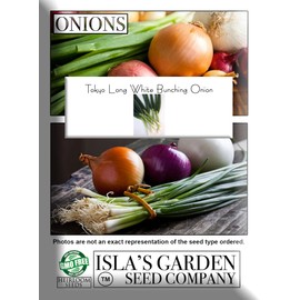 Tokyo Long White Bunching Onion Seeds for Planting, 300+ Heirloom Seeds Per Packet, (Isla's Garden Seeds), Non GMO Seeds, Botanical Name: Allium fistulosum, Garden Gift!