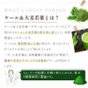Grace of Nature 有機 ケール＆大麦若葉 パウダー 国産 九州産 オーガニック 粉末