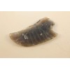 2-1/8" Long Black Brazilian Agate Knapped From Solid Stone Using
