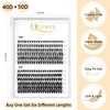 QUEWEL Lash Clusters 240Pcs Individual Lashes 40D+50D D Curl 8-14mm