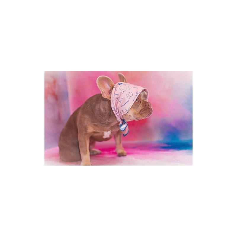 Pooch Mode Conversational Print Dog Bandana (Medium/Large)