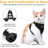 Dooradar Cat Harness and Leash Escape Proof for Walking, Adjustable
