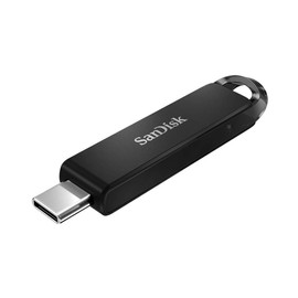 SanDisk 32GB Ultra USB Type-C Flash Drive Two Pack Works with Type-C Computers, Phones, and Tablets (SDCZ460-032G-G46) Bundle with (1) Everything But Stromboli Lanyard