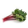 Seeds4planting - Seeds Rhubarb 35 Days Garden Red Heirloom Vegetable