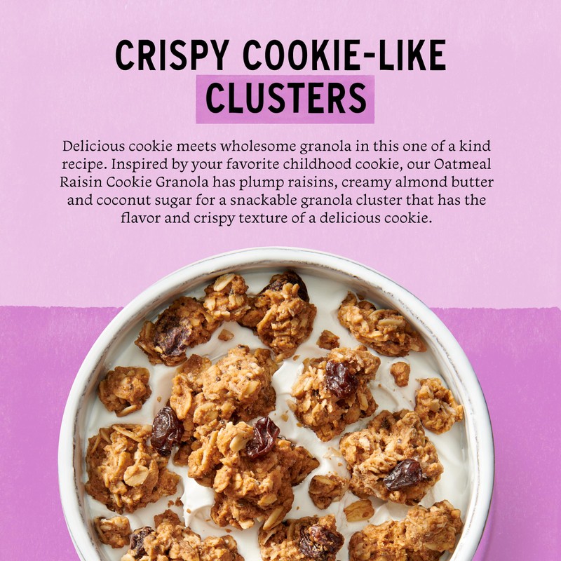 Purely Elizabeth Granola Ckie Oatml Raisn 11 OZ