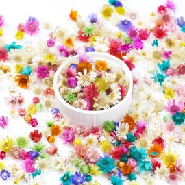 300 PIEZAS Flores Secas Mini para Resina, Flores Secas Pequeñas para Manualidades, Flores Secas Mini a Granel para Arte en Resina, Joyería, Fabricación de Velas, Fabricación de Jabón y Manualidades