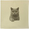 Azeeda 40cm x 40cm 'British Shorthair Cat' Canvas Cushion Cover