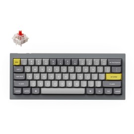 Keychron Q4 Wired Custom Mechanical Keyboard, 60% Layout QMK/VIA Programmable Macro with Hot-swappable Gateron G Pro Red Switch Double Gasket Compatible with Mac Windows Linux (Gray)