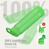Insulated Stainless Steel Water Bottle with Straw, Ceramic-Lined, BPA-Free &
