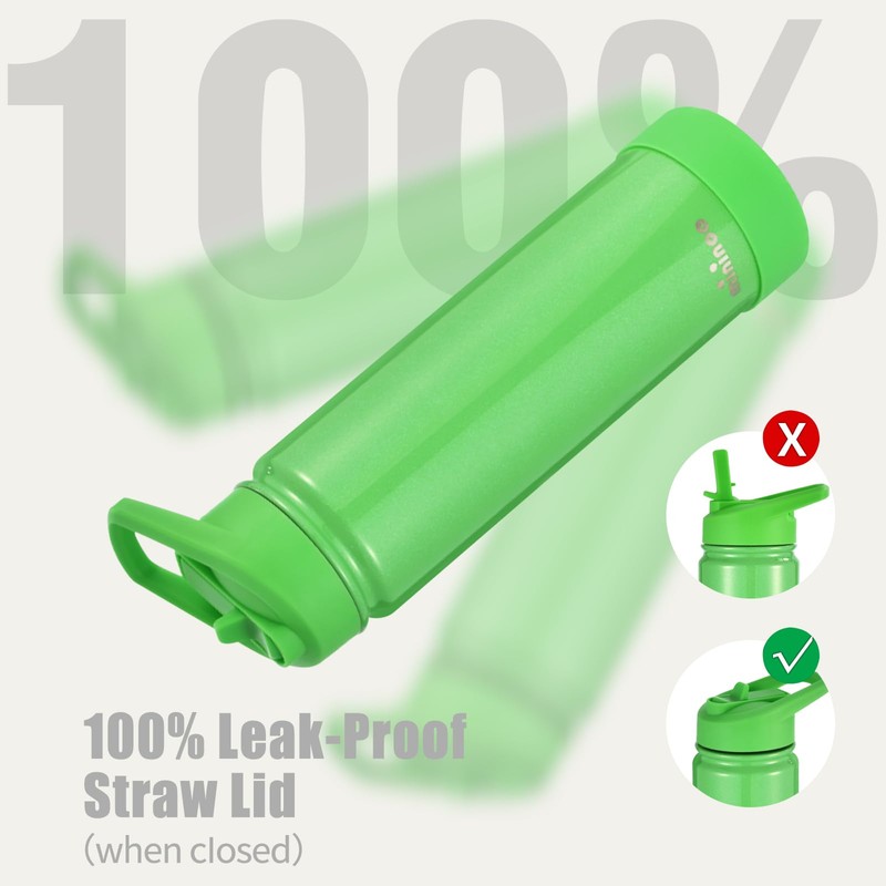 Insulated Stainless Steel Water Bottle with Straw, Ceramic-Lined, BPA-Free &