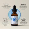 Mad Hippie Antioxidant Facial Oil 매드히피 안티옥시던트 페이셜 오일 Mad