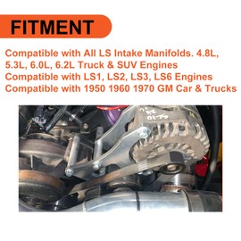 ECOTRIC LS Engine Serpentine Bracket Alternator & Power Steering Pump Swap Conversion Compatible with 4.8L 5.3L 6.0L 6.2L Truck & SUV Engines LS1 LS2 LS3 LS6 Engines