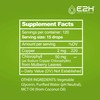 E2H Chlorophyll Liquid Drops - All-Natural Flavored Energy Booster, Immune