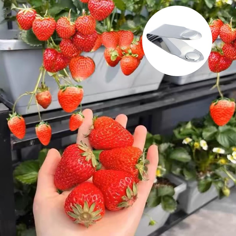 QLXHBOT Stainless Steel Strawberry Huller Fruit Stem Remover Home Kitchen