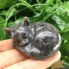 Natural Yooperlite Cat Carved Quartz Manifestation Stone Crystal Art Decor