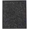 Bissell Replacement Carbon Filter for The Air400, 2520