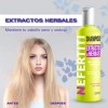 Shampoo De Hierbas Cabello Dañado Nefertiti 300ml