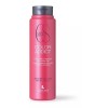 Lendan Shampoo Cs Protector Del Color Addict 300ml H/españa.
