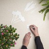 Browin 720901 (30pcs+pen) plant signs plant plugs signs