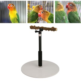 Estación De Loro Percha De Pájaro Soporte De Juego para Loros,Ajustable Soporte para Juegos De Loros Soporte Portátil Desmontable,Percha De Pájaro Desmontable Segura para Interiores