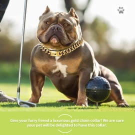 Gold Dog Chain Collars 18K Metal Chain Dog Collar, Puppy Girl Boy Cuban Link Dog Collar with Design Secure Buckle for Small Medium Large Dogs (26" (Neck 24" - 25.5"), Gold)