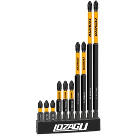 LOZAGU 10-Piece PZ2 Magnetic Screwdriver Impact Bits Set, 25mm 50mm 100mm 152mm Pozi Pozidriv Bits with Storage Box