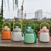Insulated Water Bottle 650ML 304 Stainless Steel Straw Bottle for
