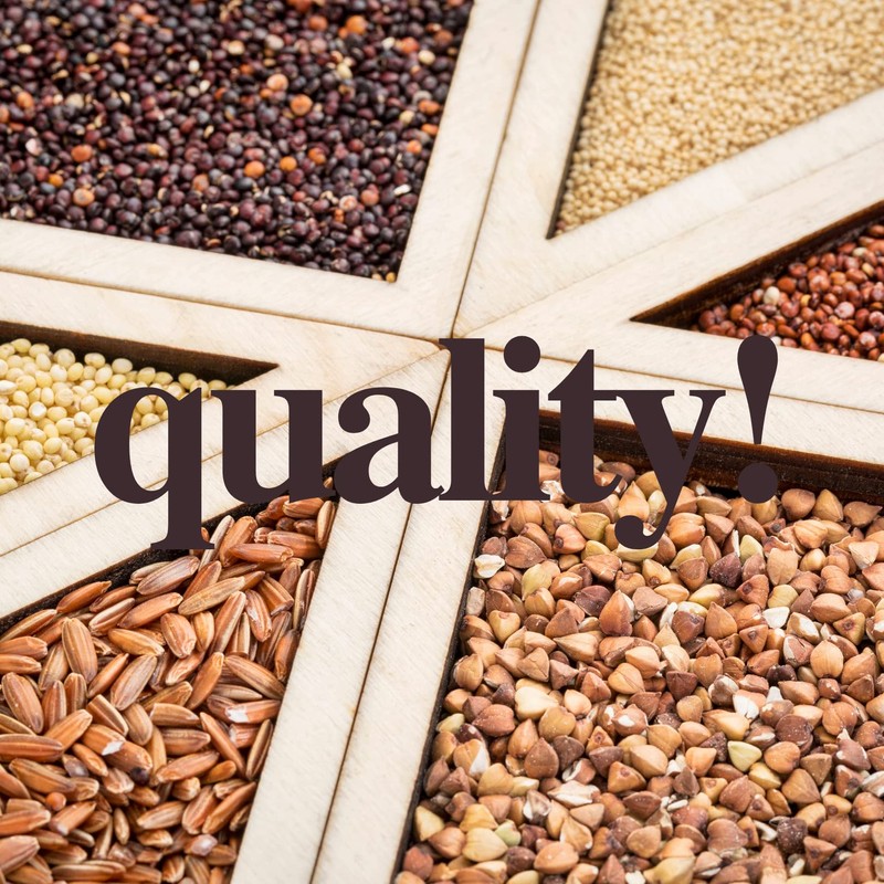 Schar Naturally Gluten-Free Wheat-Free Ladyfingers -- 5.3 oz