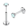 Adramata G23 Titanium Lip Piercing Labret Piercing Threadless Insertion Monroe