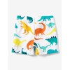 PATPAT Family Dinosaur Swimsuits Matching Set Matching Mom and Son