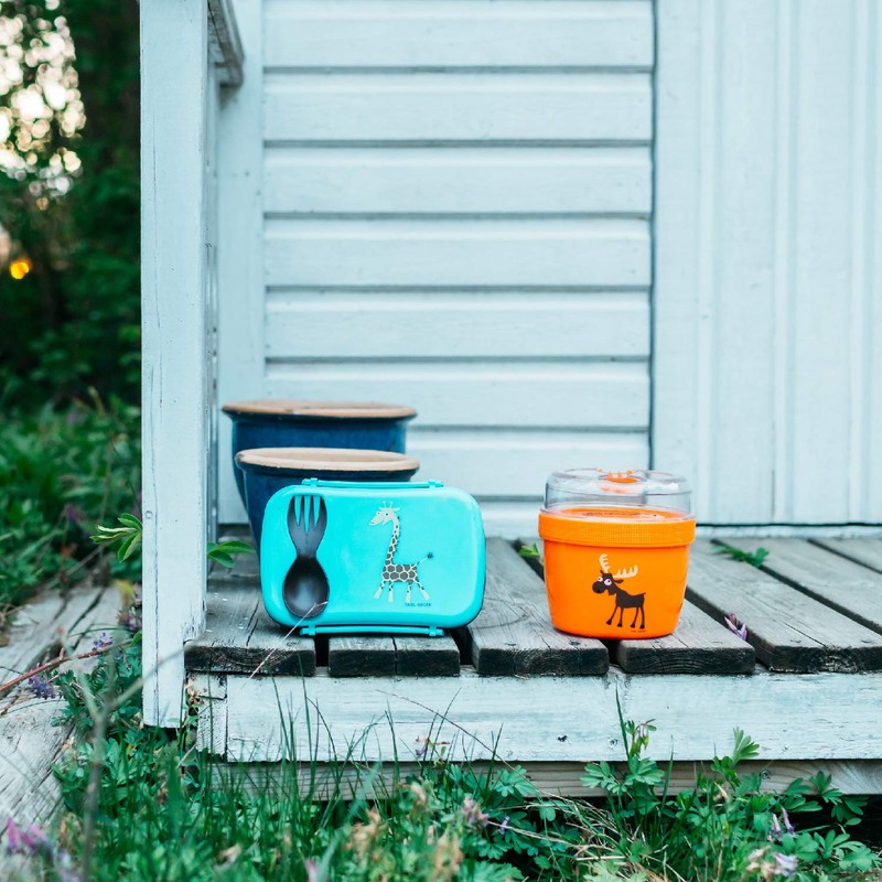 Carl Oscar N'ice Box Children's Bento Box Lunch Box