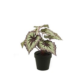 artplants.de Fake begonia rex MEIRA, green-violet, 10"/25cm - Artificial plants/False begonia rex