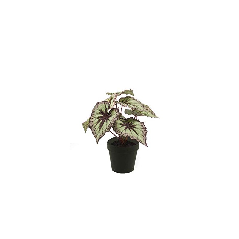 artplants.de Fake begonia rex MEIRA, green-violet, 10"/25cm - Artificial plants/False